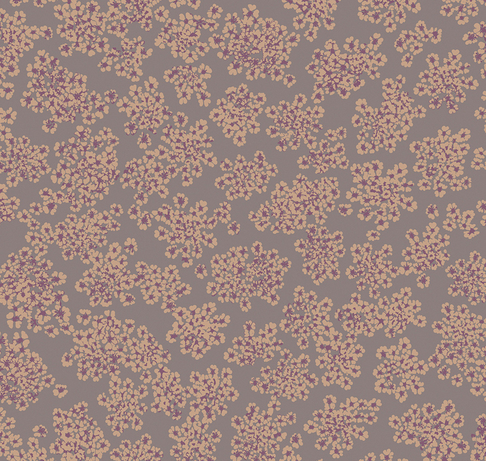 Обои Loymina Sialia Queen Annes lace Q3 010